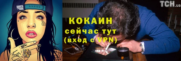 таблы Алексин