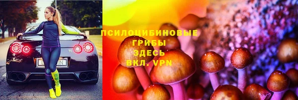 индика Алексеевка