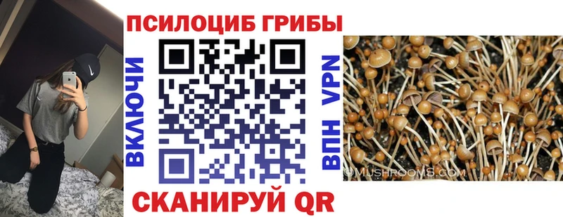 Псилоцибиновые грибы ЛСД Мантурово